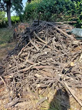 Donne bois de laurier – 5 m³ (branches et petits troncs)