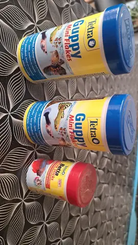 nourriture pour guppy