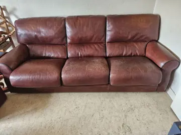 donne canapé roche bobois