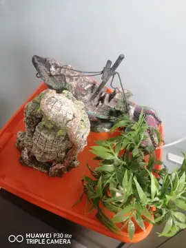 Accessoire acquarium poisson