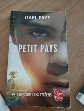 Roman Petit Pays, Gaël Faye
