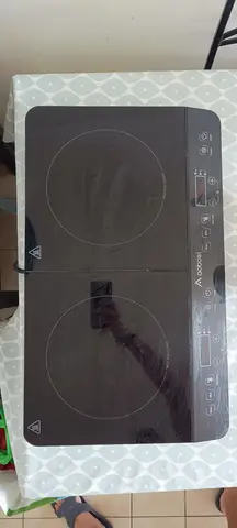plaque de cuisson à induction double, très bon état