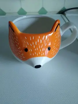 mug renard