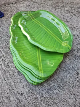 Grands plats en plastique forme feuilles (neufs)