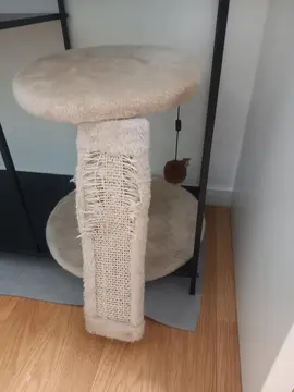 arbre à chat