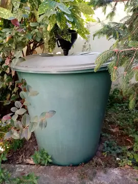 Récupérateur d'eau