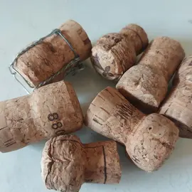 Bouchons liège de champagne