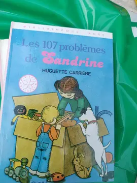 les 107 problèmes de Sandrine