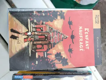 l'enfant naufragé