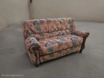 1 canapé et 2 fauteuils