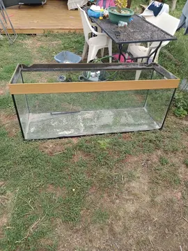 aquarium