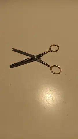 ciseaux de coiffure