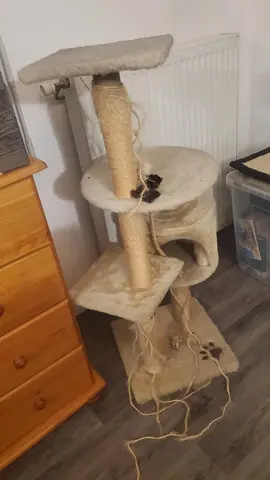 arbre à chat. bien utilisé mais à donner.