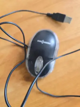 souris