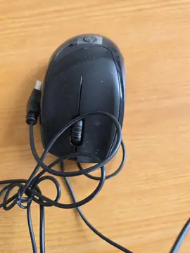 souris