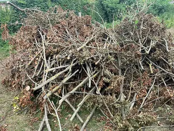 petit bois de chauffage à découper