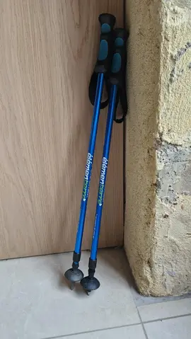 2 bâtons de randonnée enfant