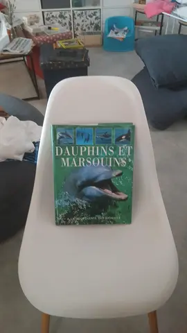 livre dauphin