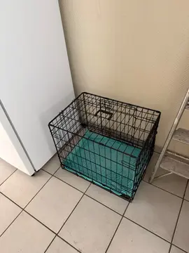 cage à chien
