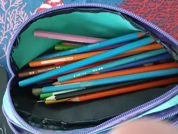Crayons de couleurs pour l'école (environ 40)