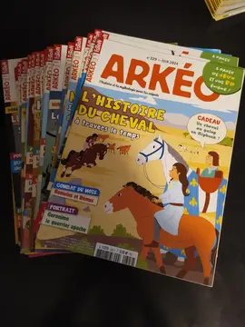 gros lot de magazines Arkeo