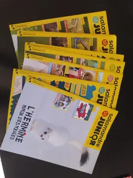 gros lot de magazines Salamandre junior