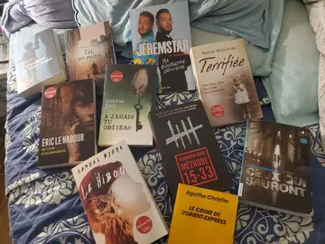 lot de livres