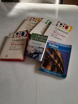 Lot dictionnaires langues