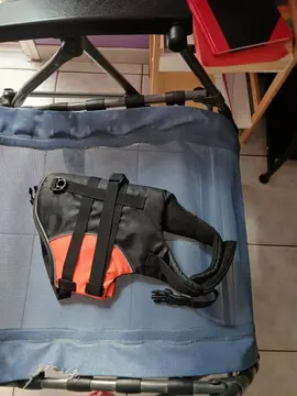 gilet de sauvetage pour chien petit-moyen