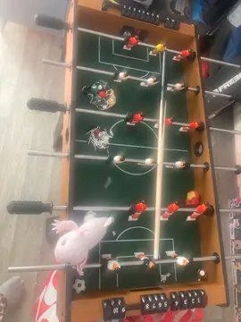 jour pour enfants baby-foot