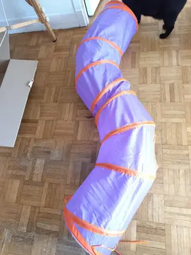 Tunnel pour chat