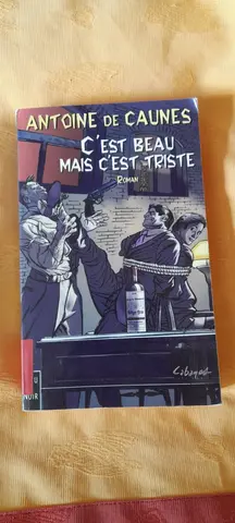 C'est beau mais c'est triste