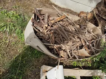petit bois