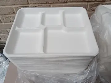 Lot de plateaux-repas en carton recyclable