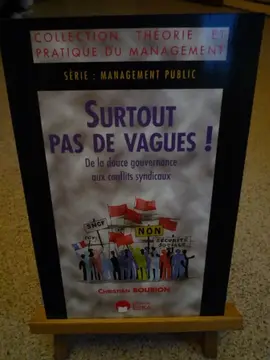 Livre management "Surtout pas de vagues !", 2004, 282 pages, état neuf