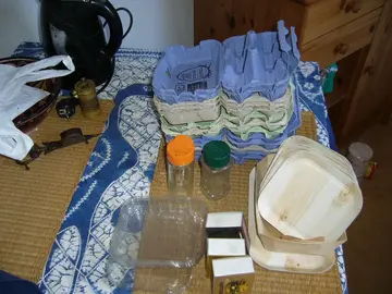 Boîtes d'oeufs barquettes