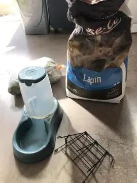 Alimentation Lapin