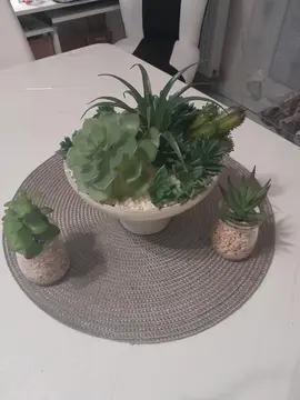 Lot de plantes artificielles déco.