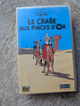 VHS tintin 1