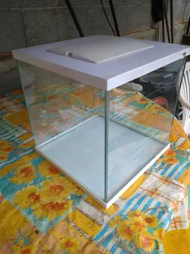 Aquarium