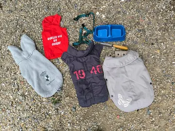 Accessoires pour chien