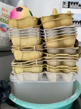 Boîtes à oeufs