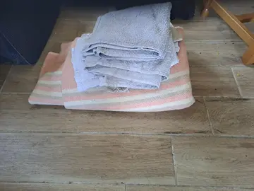 couverture et serviettes pour animaux