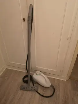 Nettoyeur vapeur