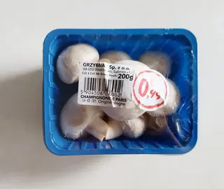 champignons