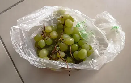 raisin