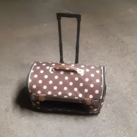 Sac à roulettes pour chiens ou chats