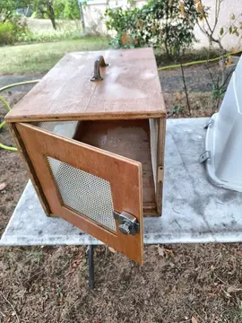 Caisse à chat