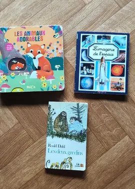 Livres jeunesse