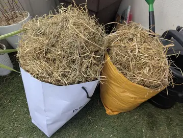 paille pour lapin